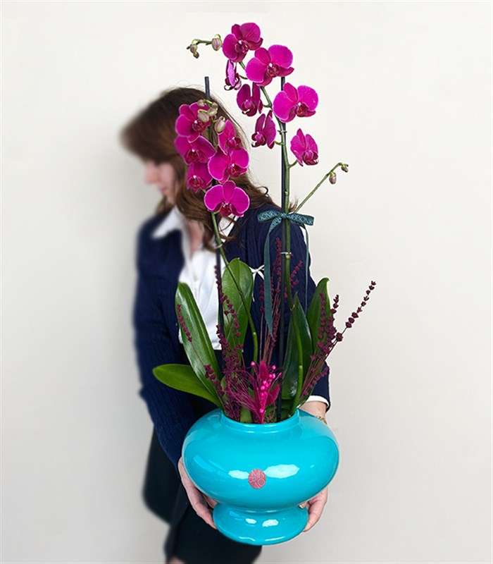 Luxe Turkuaz Seramik Vazoda Fuşya Orkide 2 Dallı