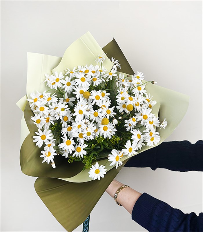 Bir Kucak Papatya Buketi