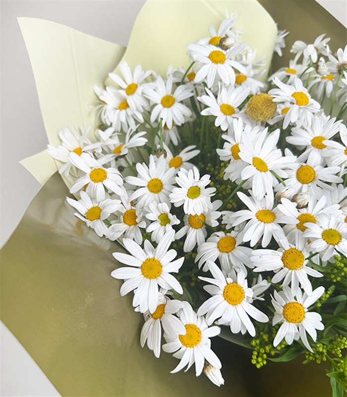 Bir Kucak Papatya Buketi