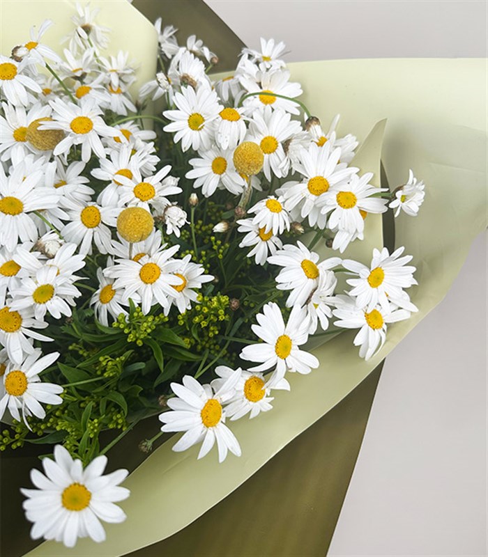 Bir Kucak Papatya Buketi