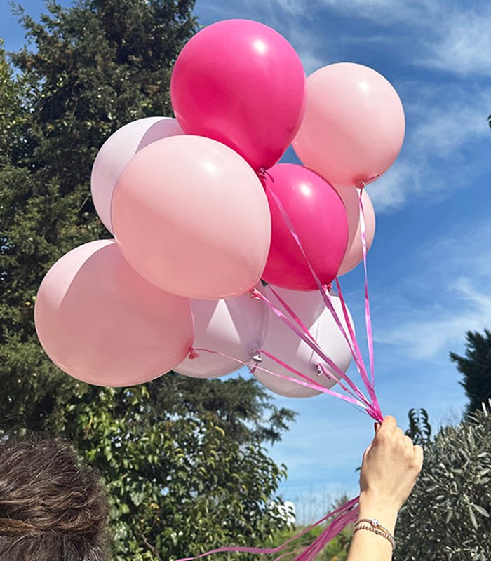 10 Piece Flying Pink Lilac Balloon Set