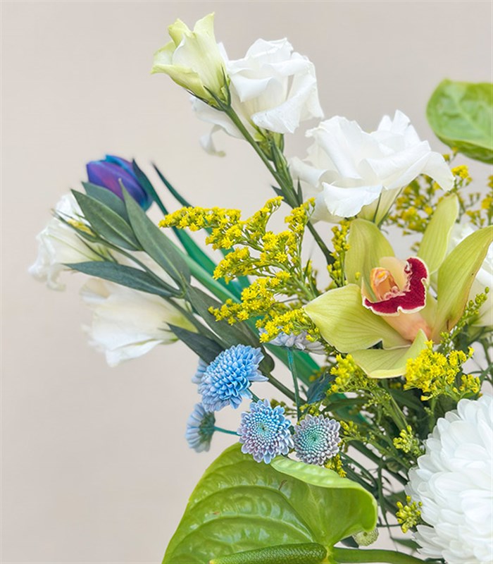 Spring Reverie Yeşil El İşi Seramik Sürahi Vazoda Galaksi Lale Antoryum Aranjman