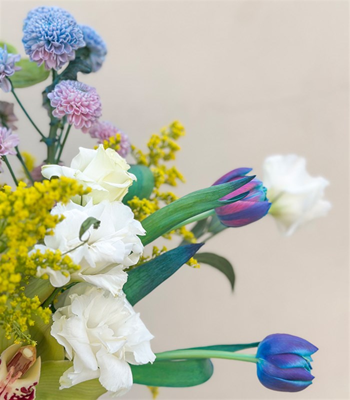 Spring Reverie Yeşil El İşi Seramik Sürahi Vazoda Galaksi Lale Antoryum Aranjman