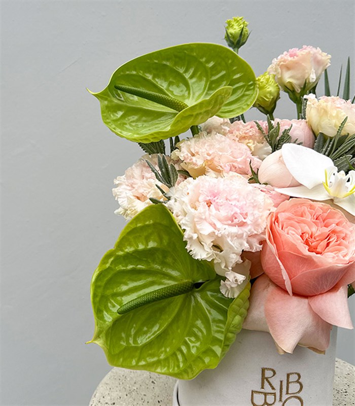 Buds of Verona Krem Mini Kutuda Pastel Çiçekler