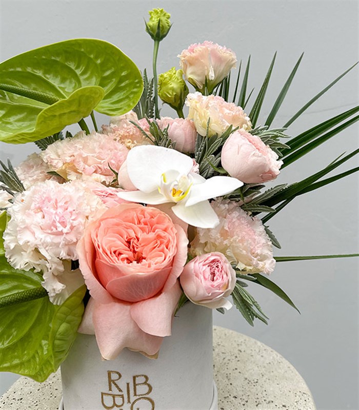 Buds of Verona Krem Mini Kutuda Pastel Çiçekler