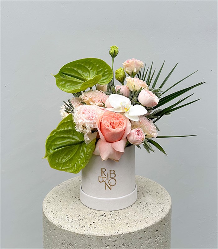 Buds of Verona Krem Mini Kutuda Pastel Çiçekler