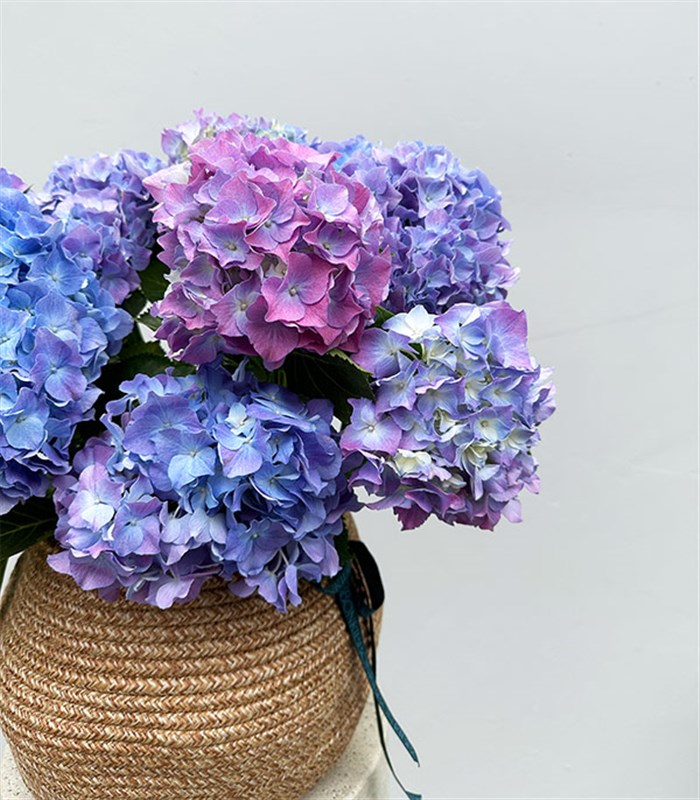 Doğal Jüt Sepette Mavi Ortanca