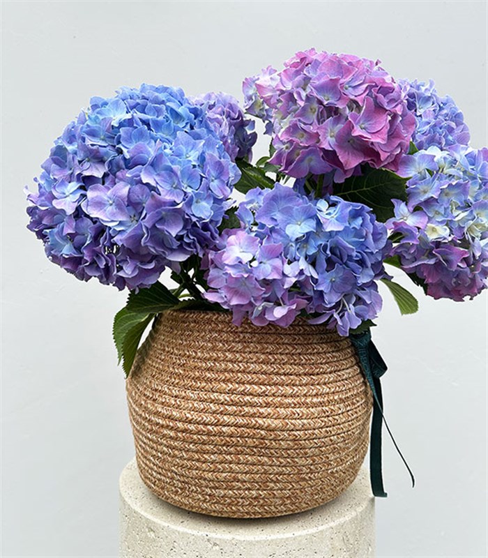 Doğal Jüt Sepette Mavi Ortanca