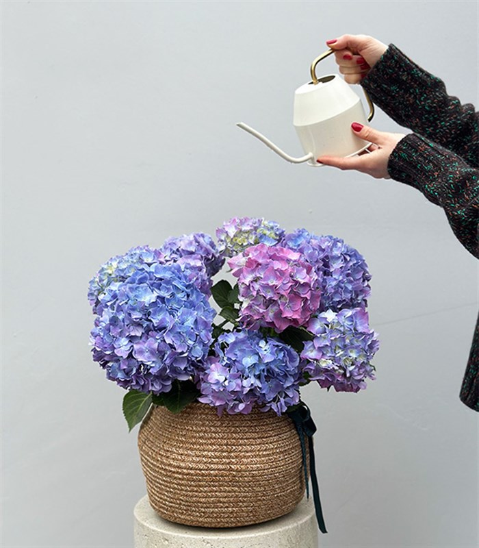 Doğal Jüt Sepette Mavi Ortanca