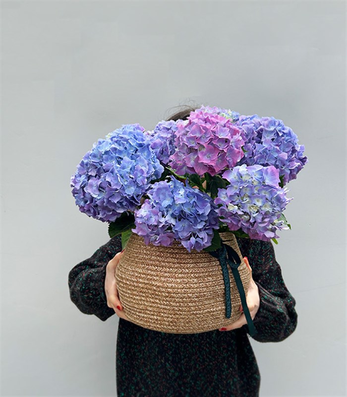 Doğal Jüt Sepette Mavi Ortanca