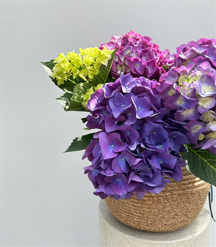 Purple Hydrangea in Natural Jute Basket
