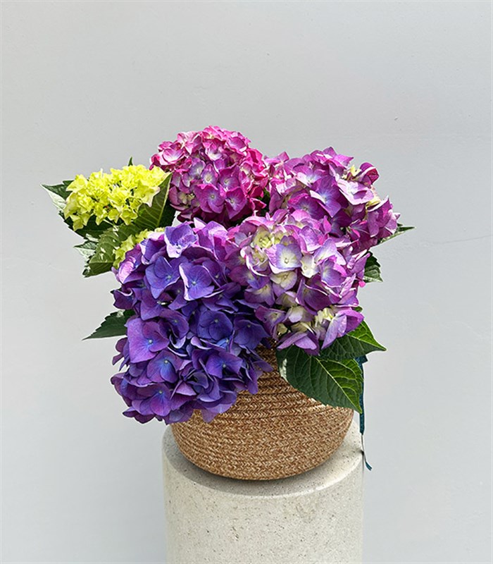 Purple Hydrangea in Natural Jute Basket