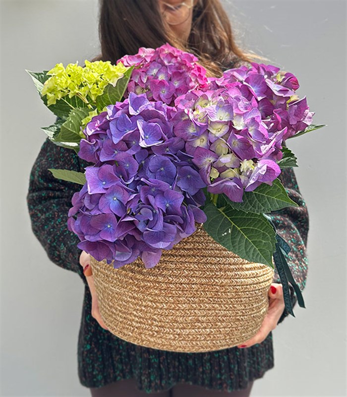 Purple Hydrangea in Natural Jute Basket