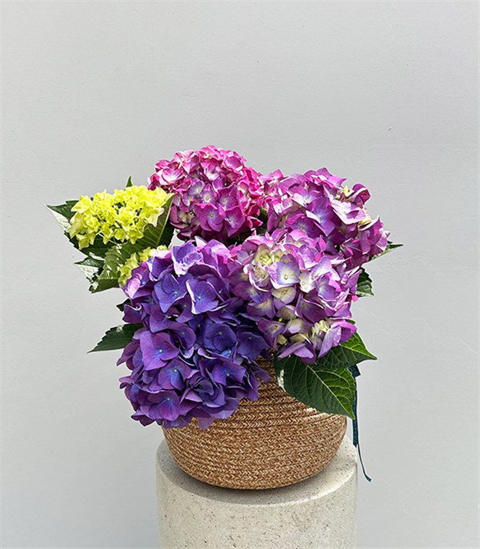 Purple Hydrangea in Natural Jute Basket