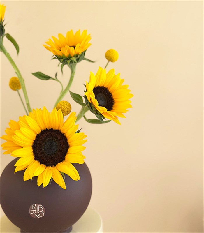 Solstice Kahverengi Seramik Vazoda Ayçiçeği Mini Aranjmanı
