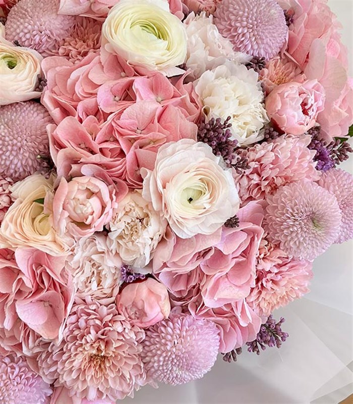 Grand Deluxe 21 Pudra Şakayık Ortanca Beyaz Gül İsteme Çiçeği