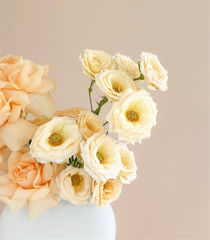 Butter Yellow Mini Seramik Vazoda Kayısı Güller Bahar Aranjmanı