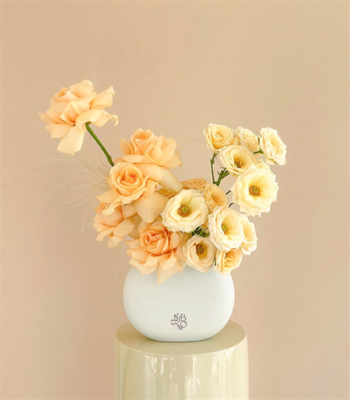 Butter Yellow Mini Seramik Vazoda Kayısı Güller Bahar Aranjmanı