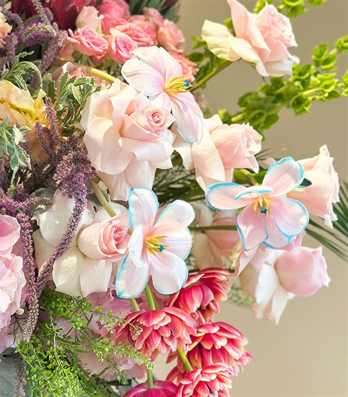 Sorriso Yeşil Vazoda Pembe Ortanca Protea Grand Deluxe Aranjman