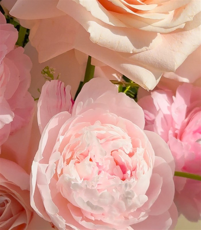 Puffy Heart Yeşil Vazoda Pudra Şakayık Gül Aranjmanı