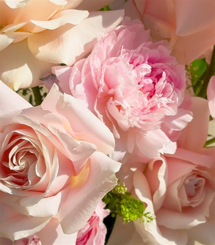 Puffy Heart Yeşil Vazoda Pudra Şakayık Gül Aranjmanı