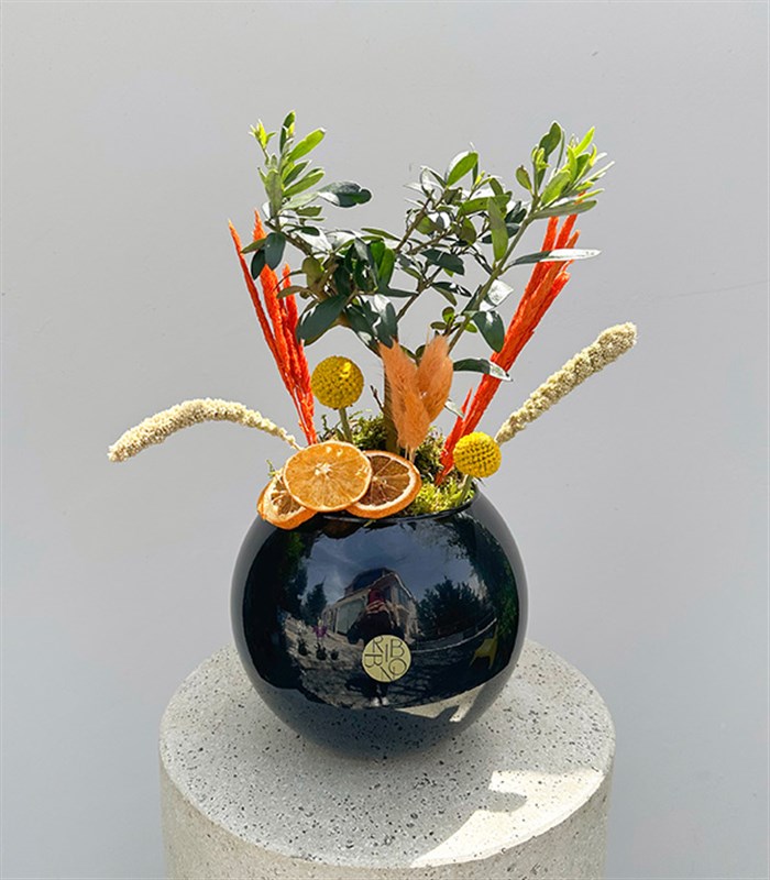 Siyah Cam Vazoda Zeytin Ağacı