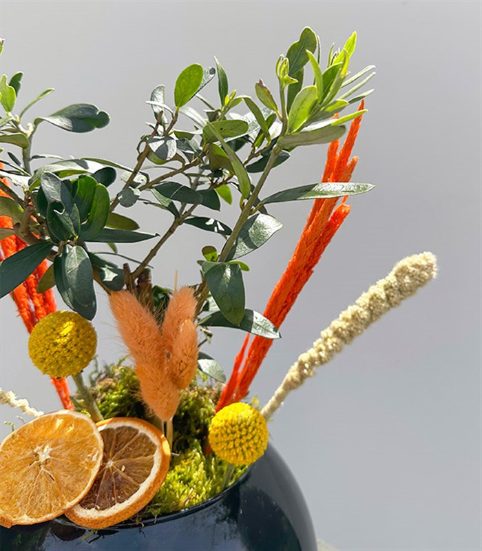 Siyah Cam Vazoda Zeytin Ağacı