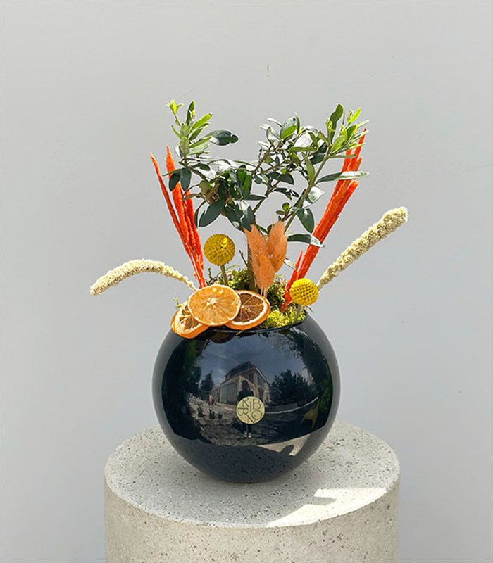 Siyah Cam Vazoda Zeytin Ağacı