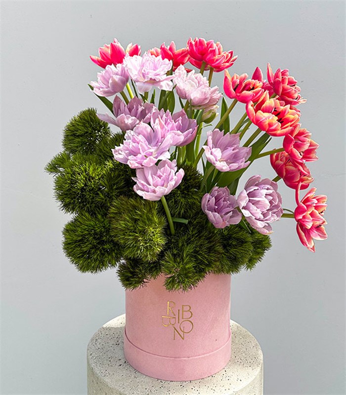 Keukenhof Şeker Pembe Kutuda Pembe Lila Lale Bahçesi