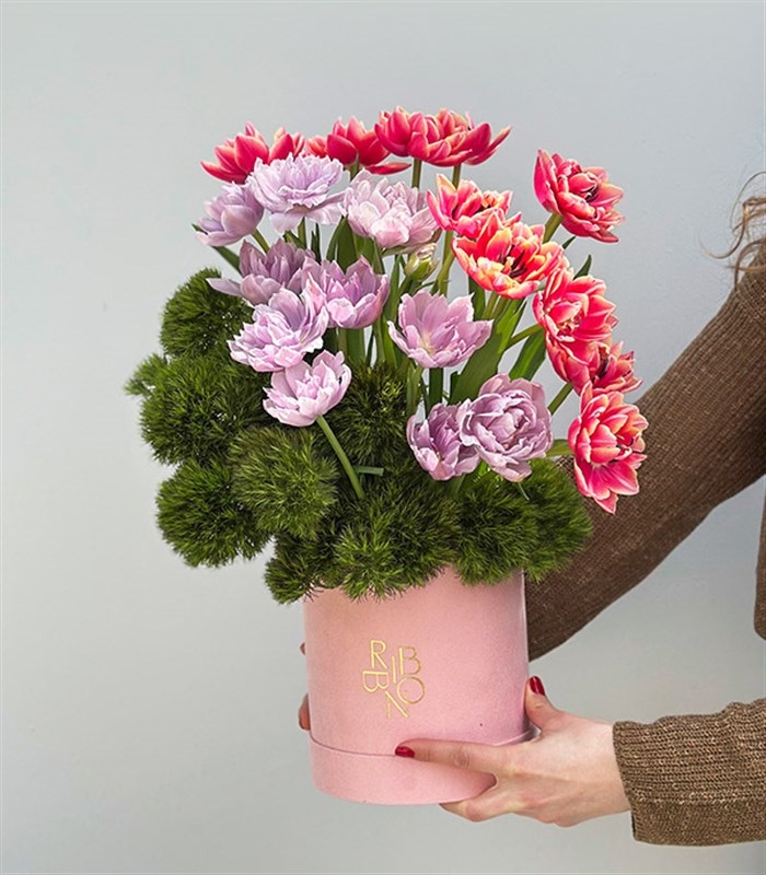 Keukenhof Şeker Pembe Kutuda Pembe Lila Lale Bahçesi
