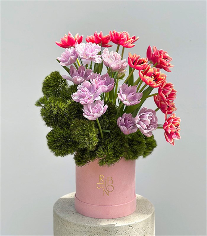 Keukenhof Şeker Pembe Kutuda Pembe Lila Lale Bahçesi