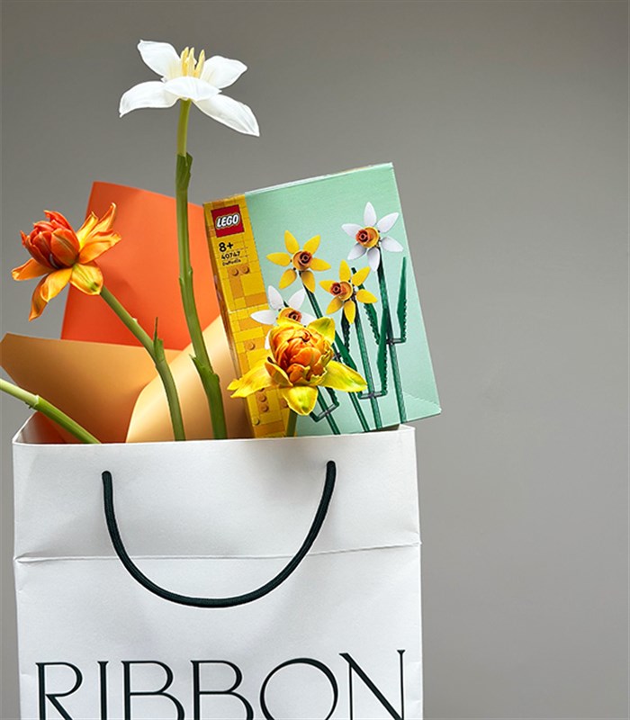 LEGO Nergis Yeşil Seramik Vazo Hediye Seti