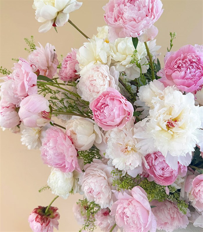 Royal Deluxe Cream Ceramic Vase with 70 Powder Pink Peonies