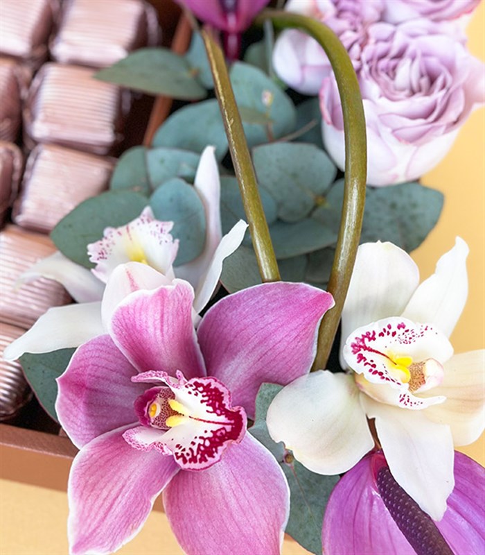 Lila Royal Deluxe Deri Tepside 80Li Çikolata Tepsisi