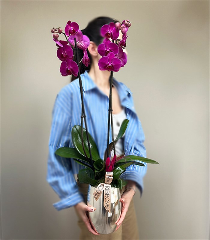 Luxe Silver Ayna Efektli Uzun Vazoda Fuşya Orkide 2 Dallı