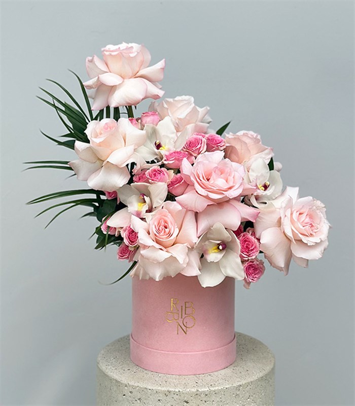 Serenity Şeker Pembe Kutu Pembe Güller Beyaz Cymbidium Orkideler
