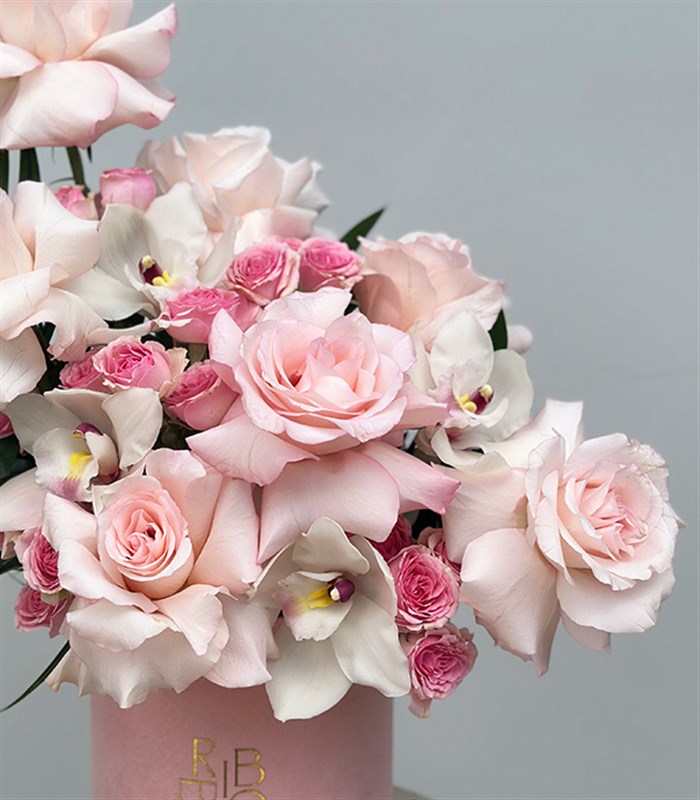 Serenity Şeker Pembe Kutu Pembe Güller Beyaz Cymbidium Orkideler