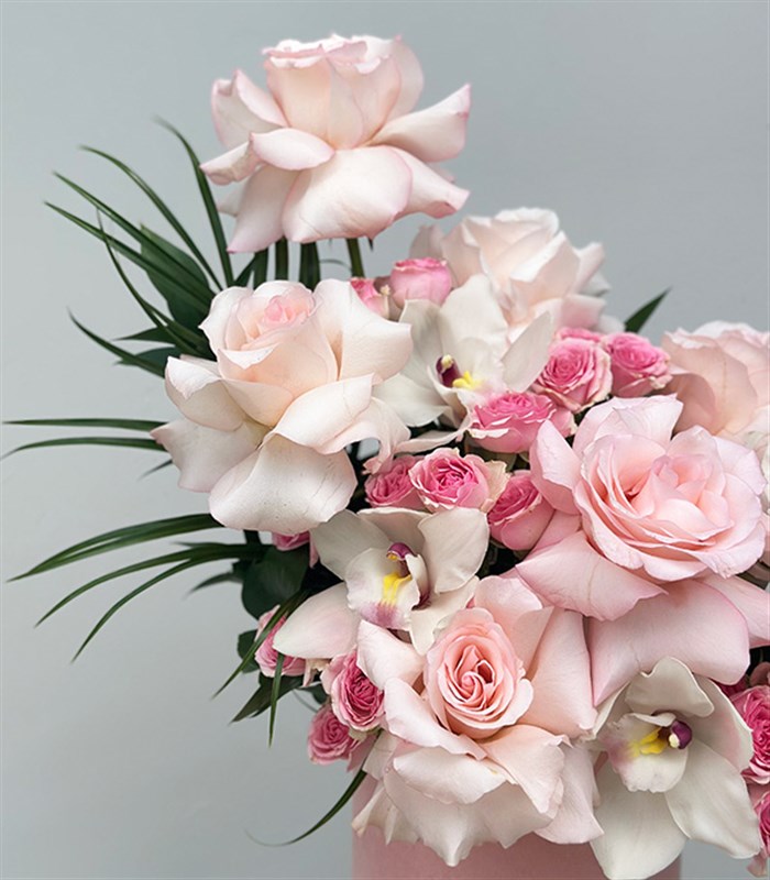 Serenity Şeker Pembe Kutu Pembe Güller Beyaz Cymbidium Orkideler