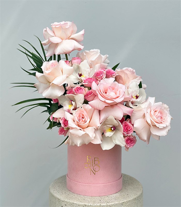 Serenity Şeker Pembe Kutu Pembe Güller Beyaz Cymbidium Orkideler