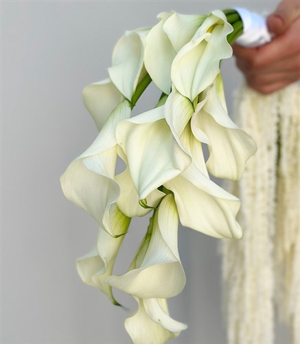 White Calla Amaranthus Bridal Bouquet