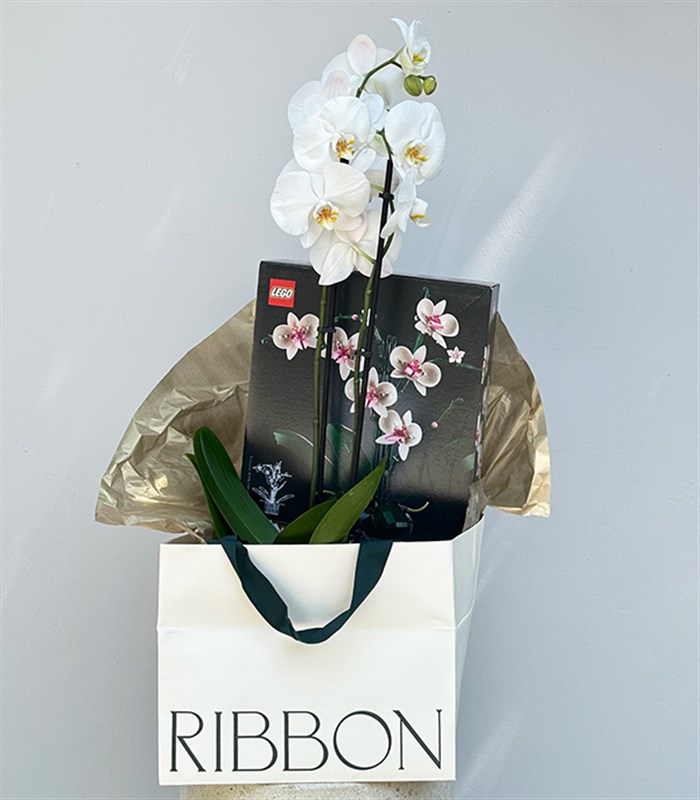 LEGO Orkide & Beyaz Saksı Orkide Hediye Kutusu