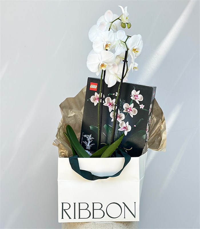 LEGO Orkide & Beyaz Saksı Orkide Hediye Kutusu