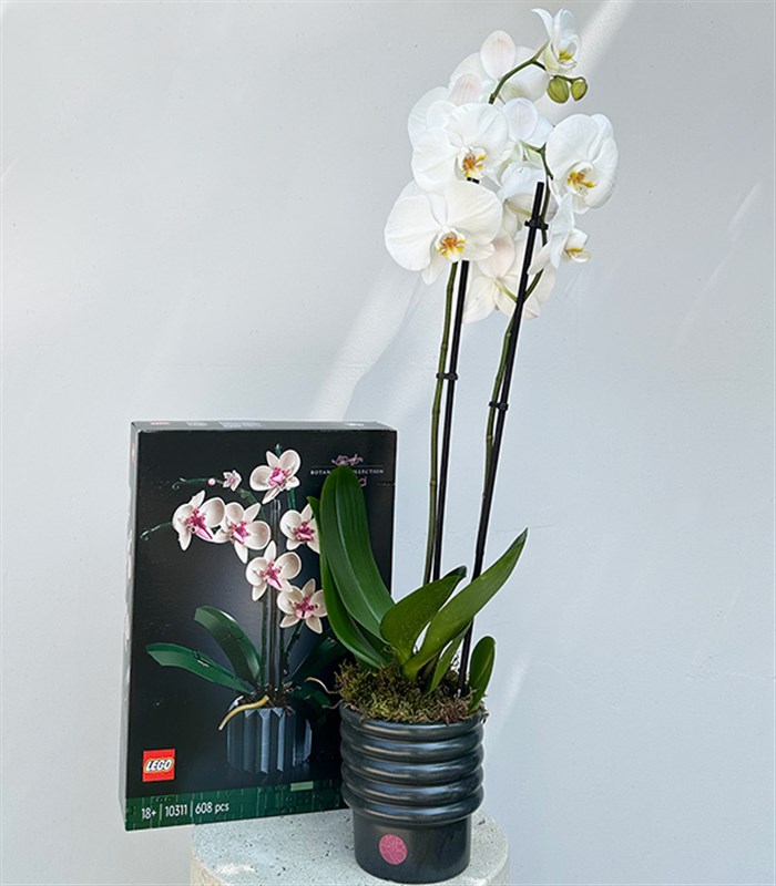 LEGO Orkide & Beyaz Saksı Orkide Hediye Kutusu
