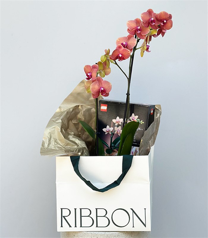 LEGO Botanicals Mini Orkide Somon Saksıda Narçiçeği Orkide Hediye Seti