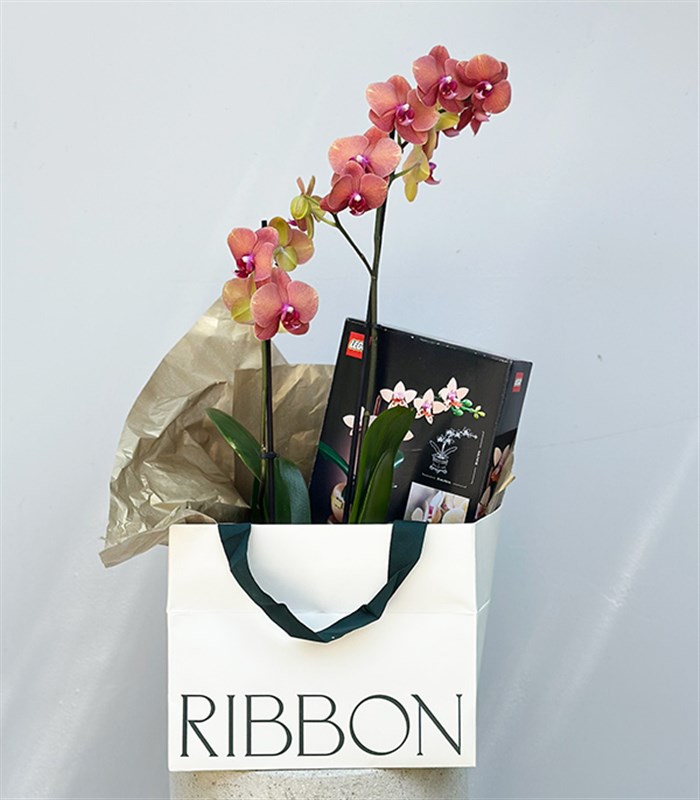 LEGO Botanicals Mini Orkide Somon Saksıda Narçiçeği Orkide Hediye Seti