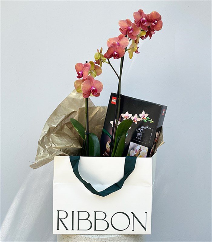 LEGO Botanicals Mini Orkide Somon Saksıda Narçiçeği Orkide Hediye Seti