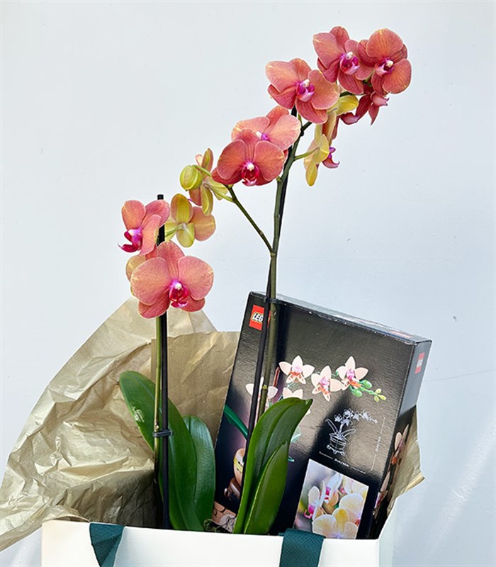 LEGO Botanicals Mini Orkide Somon Saksıda Narçiçeği Orkide Hediye Seti