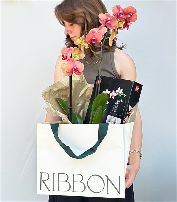 LEGO Botanicals Mini Orkide Somon Saksıda Narçiçeği Orkide Hediye Seti