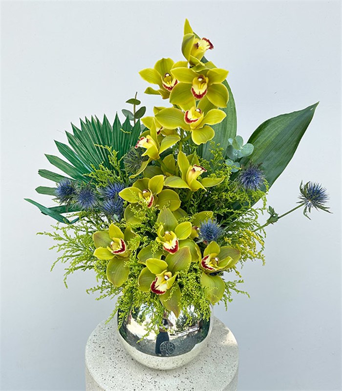 Top Vazoda Yeşil Cymbidium Orkide