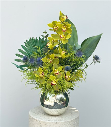 Top Vazoda Yeşil Cymbidium Orkide